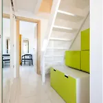 Montevideo Apartament *